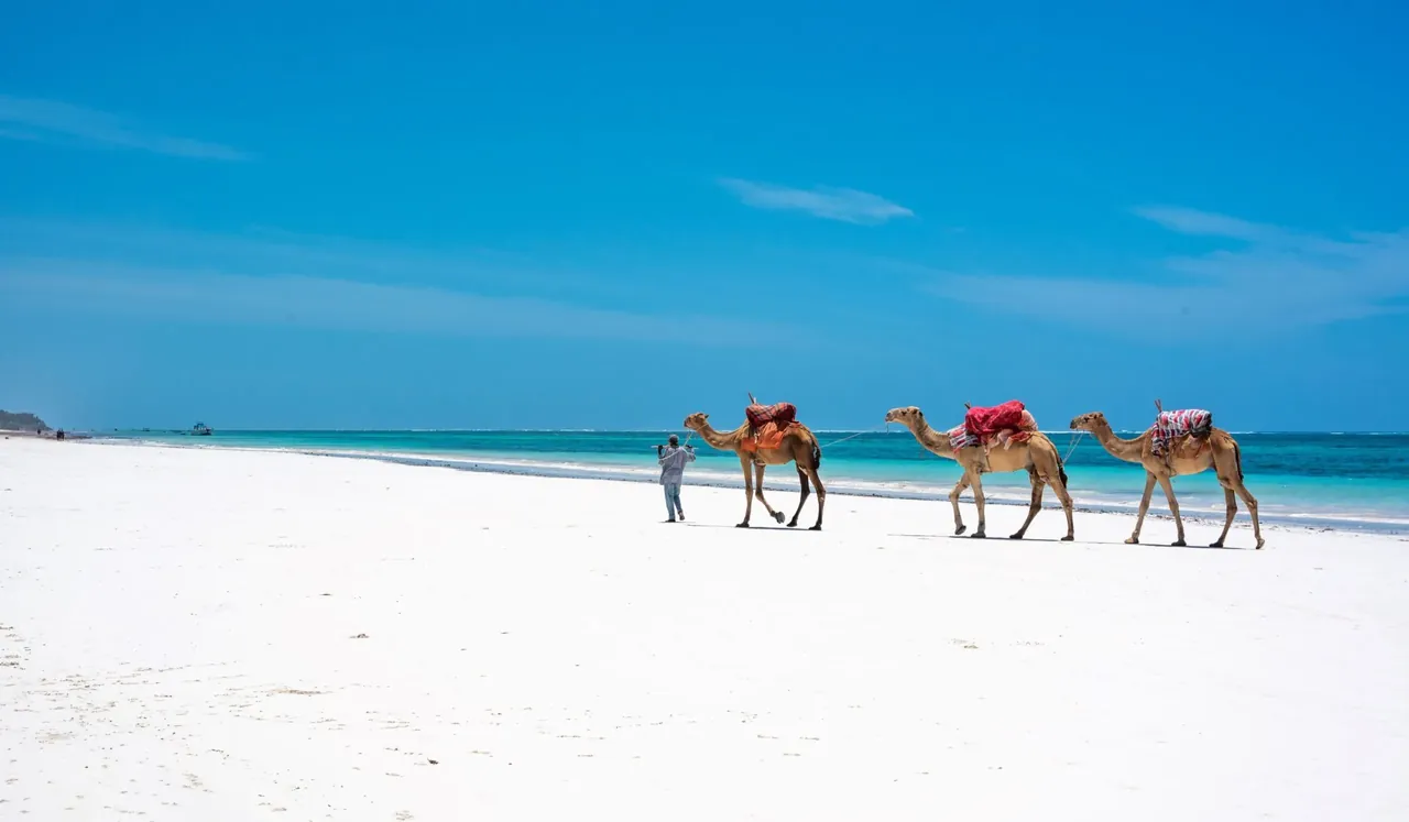 Elabush Safaris — Diani Beach white sands, Kenya coast
