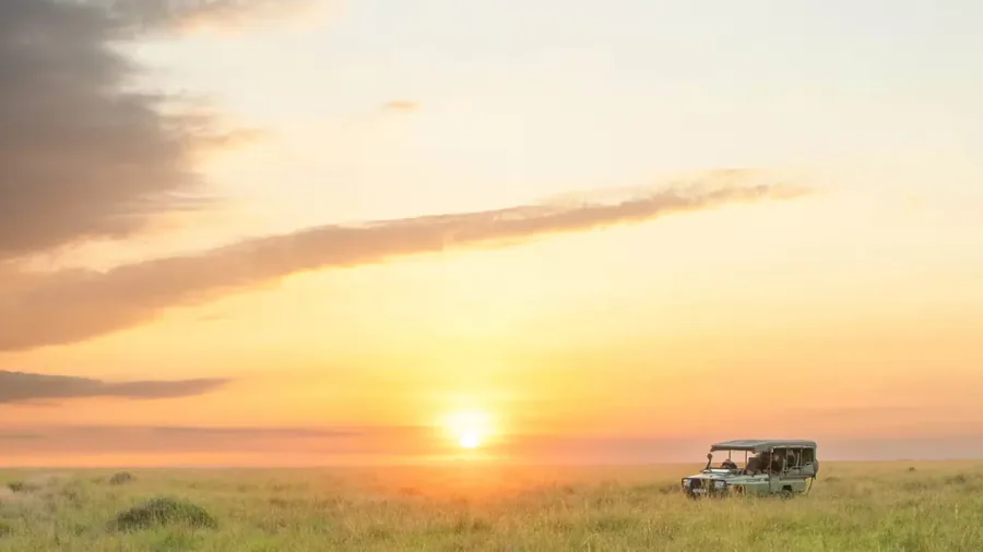 Elabush Safaris — Scenic Maasai Mara savannah panorama, Kenya