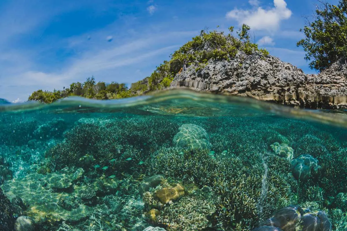 Watamu Marine Park near Turtle Bay Beach Club — Watamu beach holiday